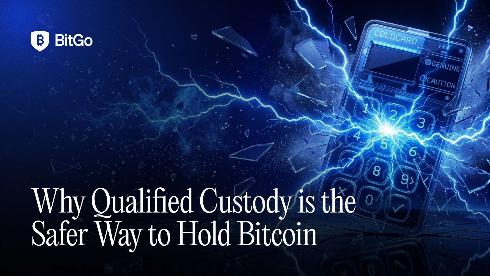 Source: provided-image (/tmp/qualified-custody-safer-bitcoin.png)