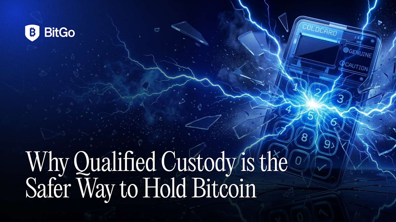 Source: provided-image (/tmp/qualified-custody-safer-bitcoin.png)