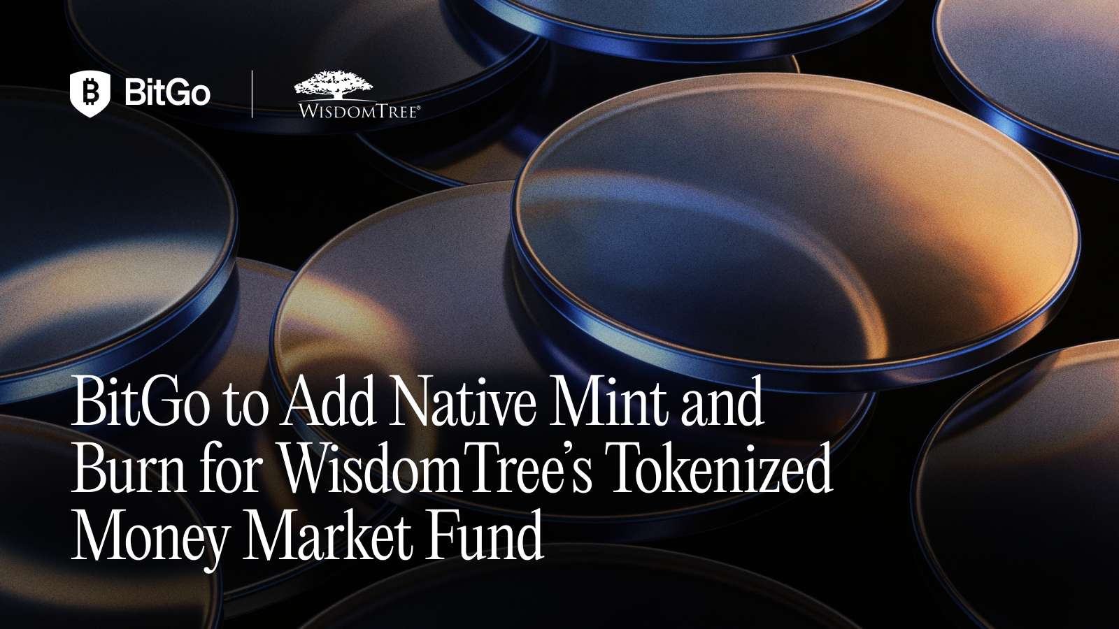 Source: provided-image (/Users/ronniederman/Downloads/BitGo Mint - WisdomTree Tokenized Money Market Fund - 3.png)