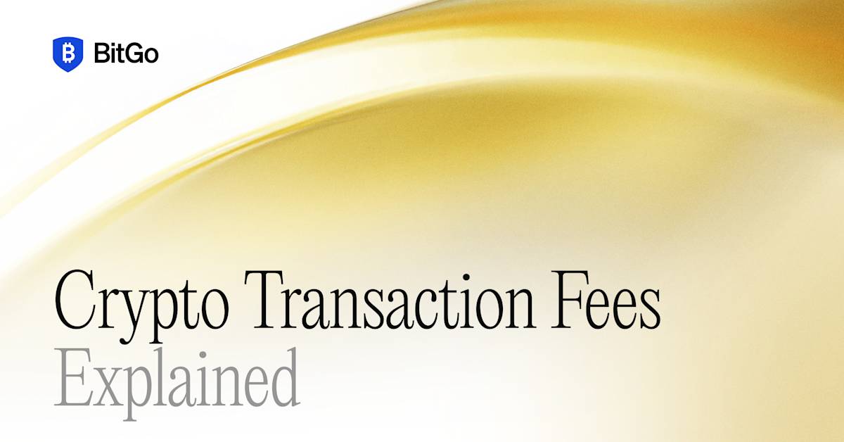 Crypto & Bitcoin Transaction Fees Explained | BitGo
