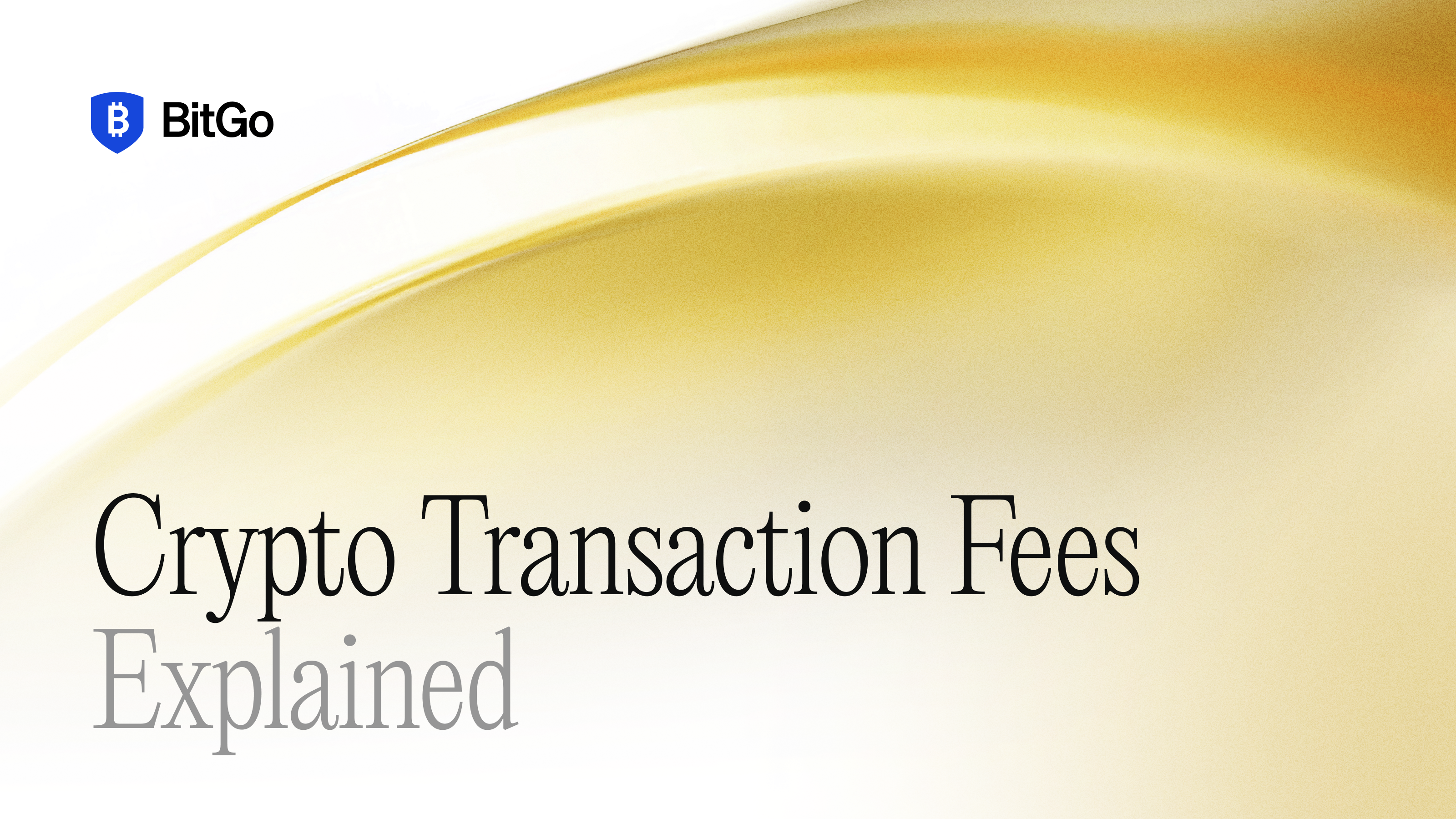 Transaction Fees