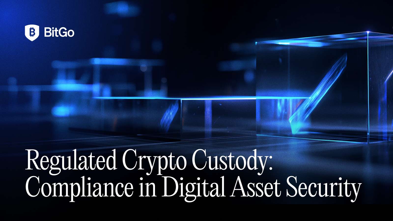 Source: provided-image (/tmp/regulated-crypto-custody.png)