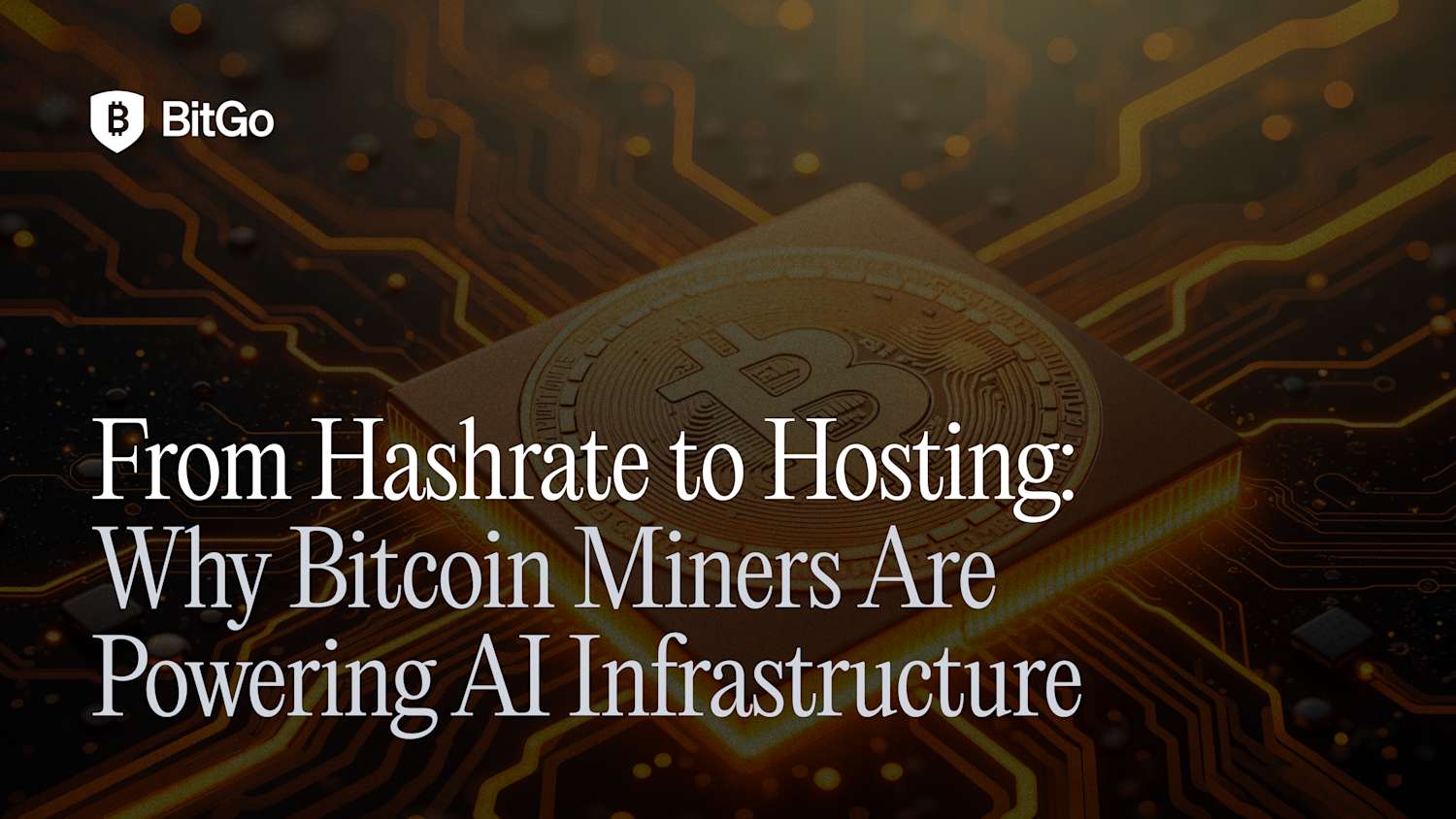Bitcoin Miners (1).png