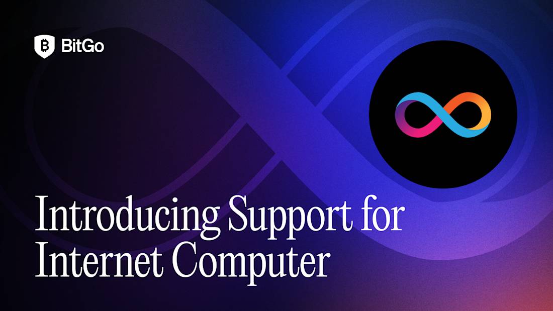 Introducing Support for Internet Computer.png