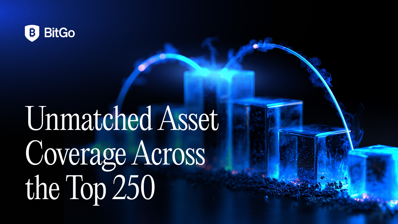 Unmatched Asset Coverage Across the Top 250 - 5.png