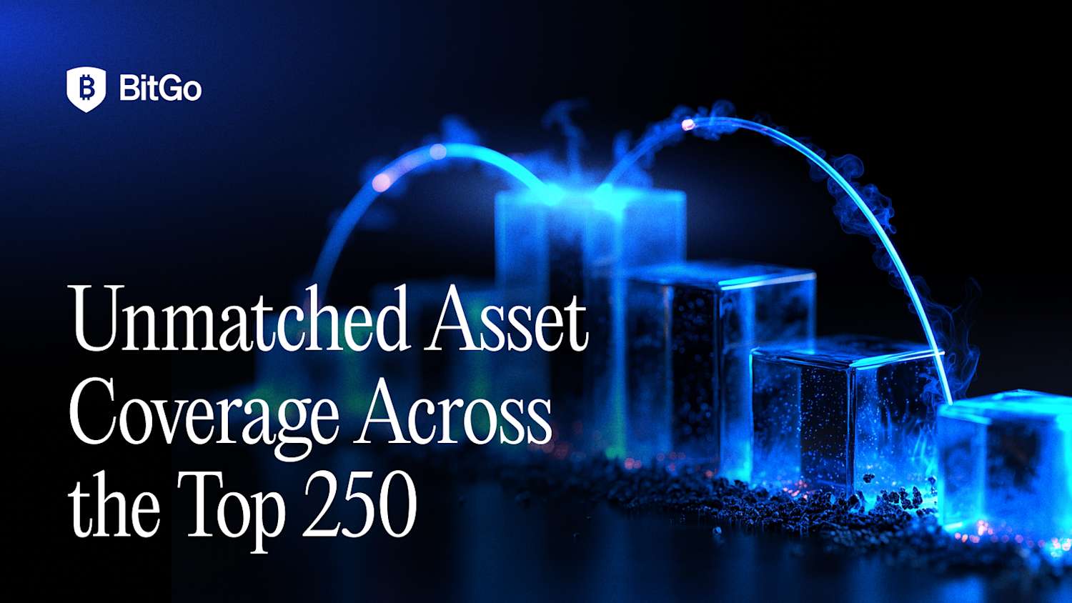 Unmatched Asset Coverage Across the Top 250 - 5.png