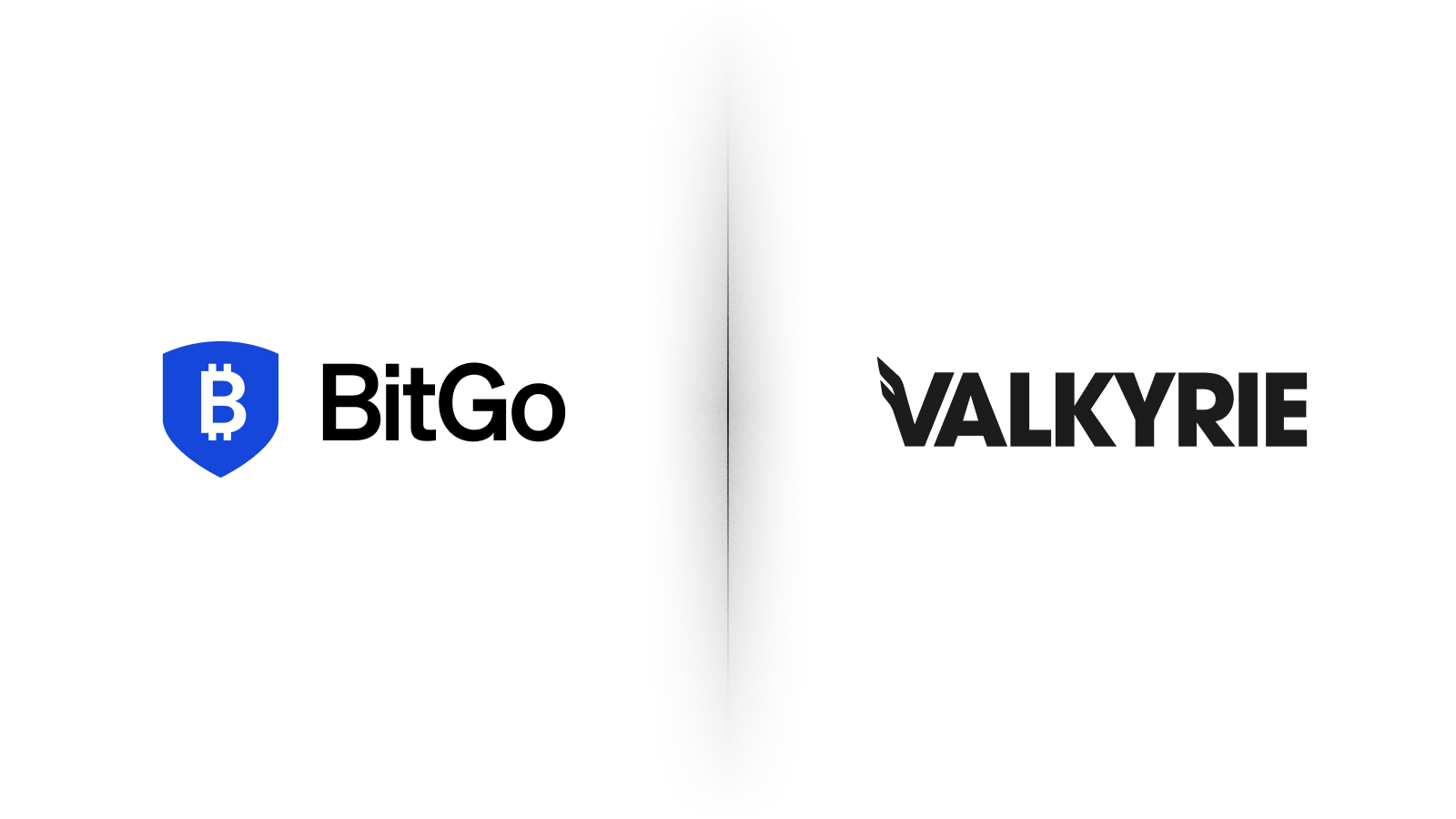 Blog - Valkyrie Partnership (Light)