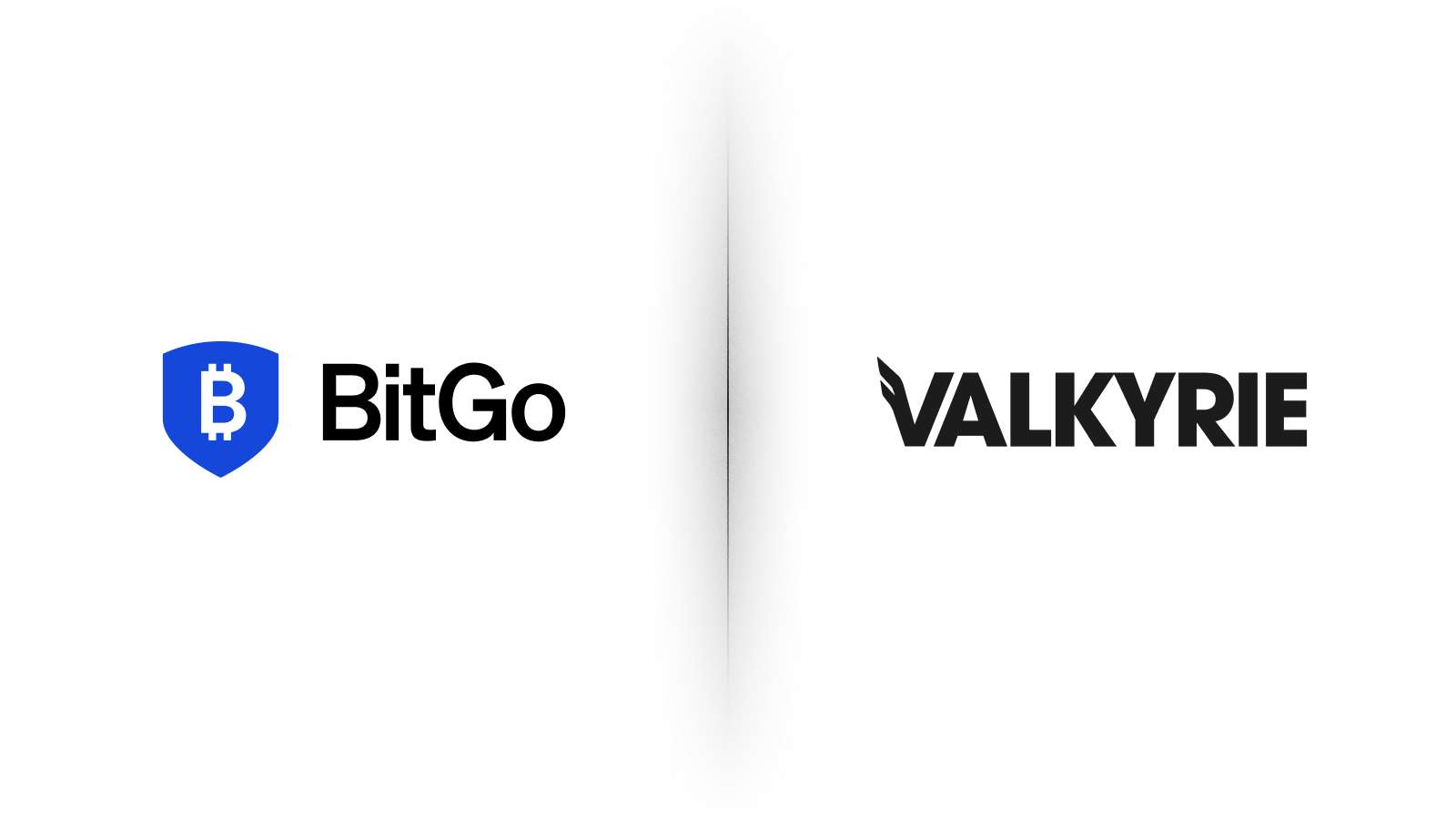 Blog - Valkyrie Partnership (Light)