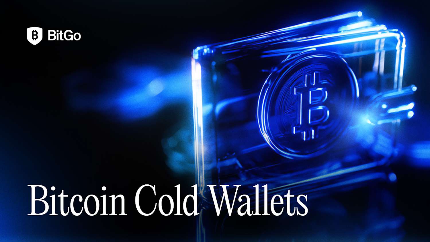 Bitcoin Cold Wallets.png
