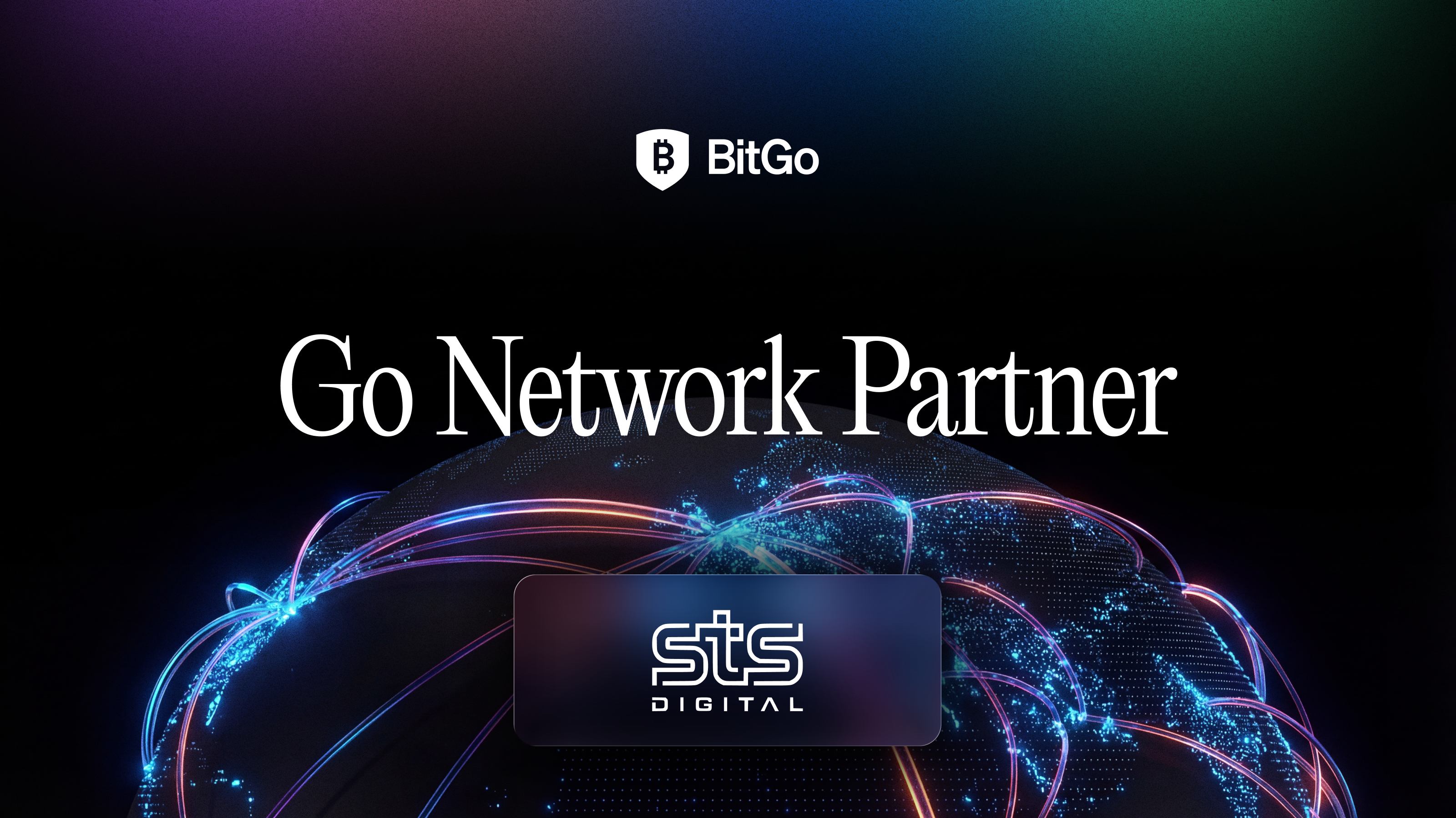 Go Network Partner_STS.png