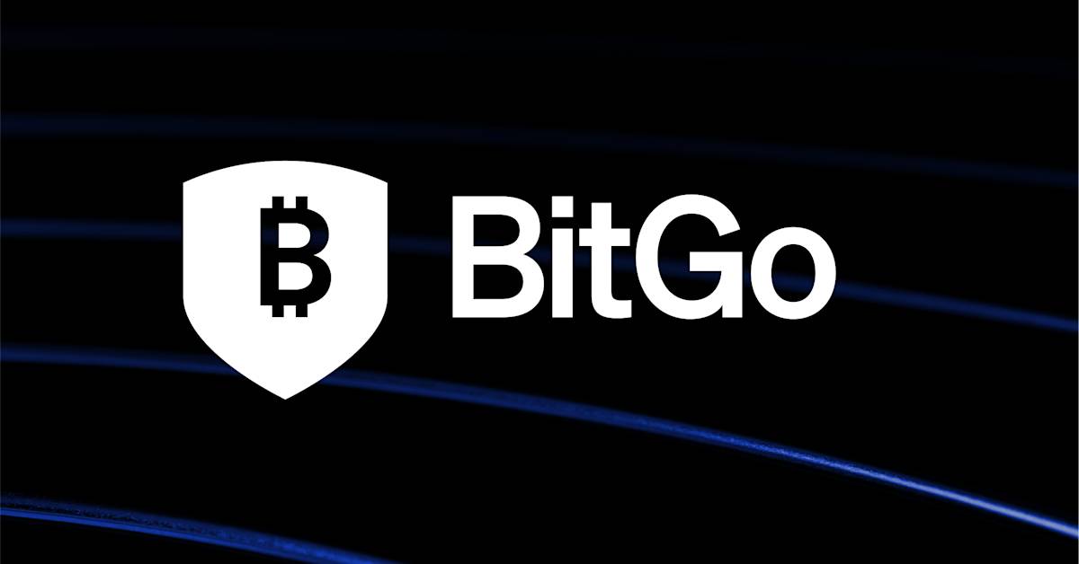 BITGO HOLDINGS, INC. logo