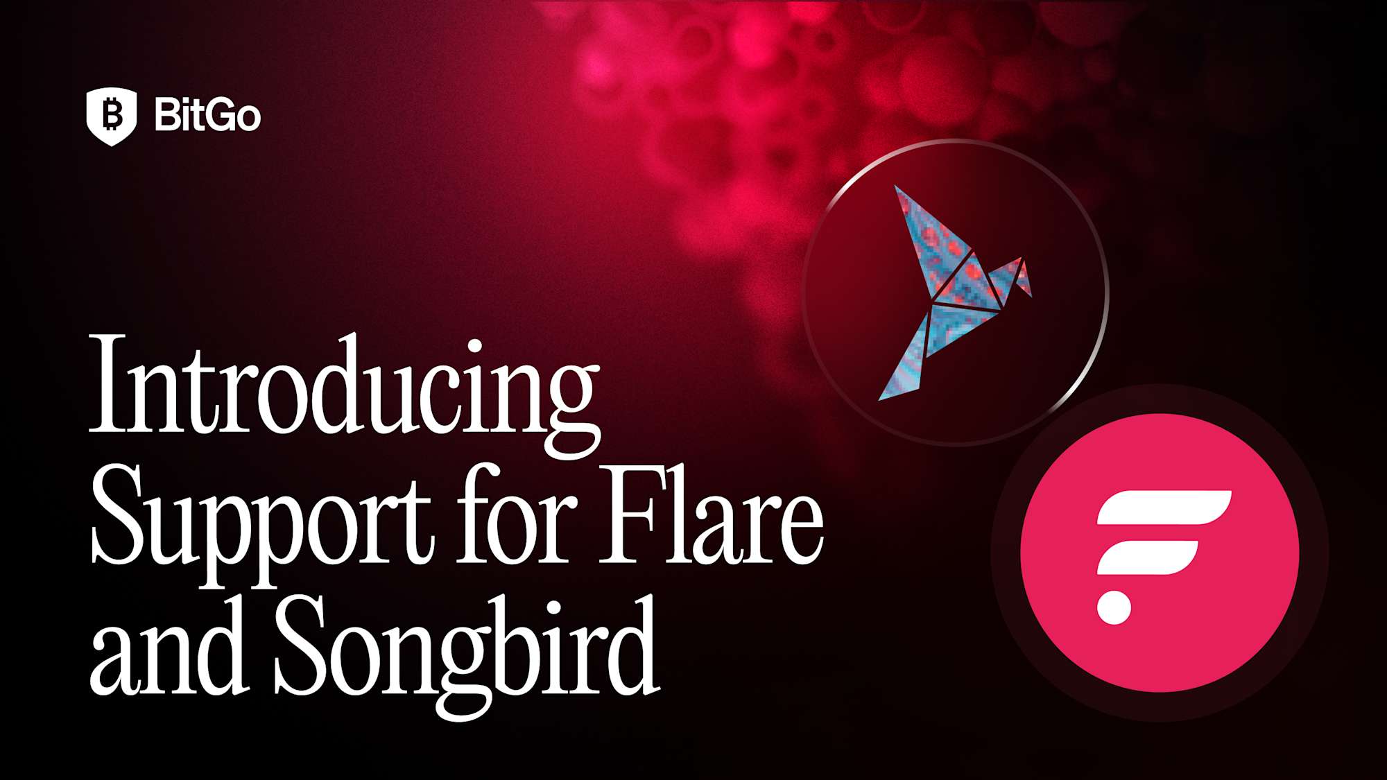 BitGo_Flare.png