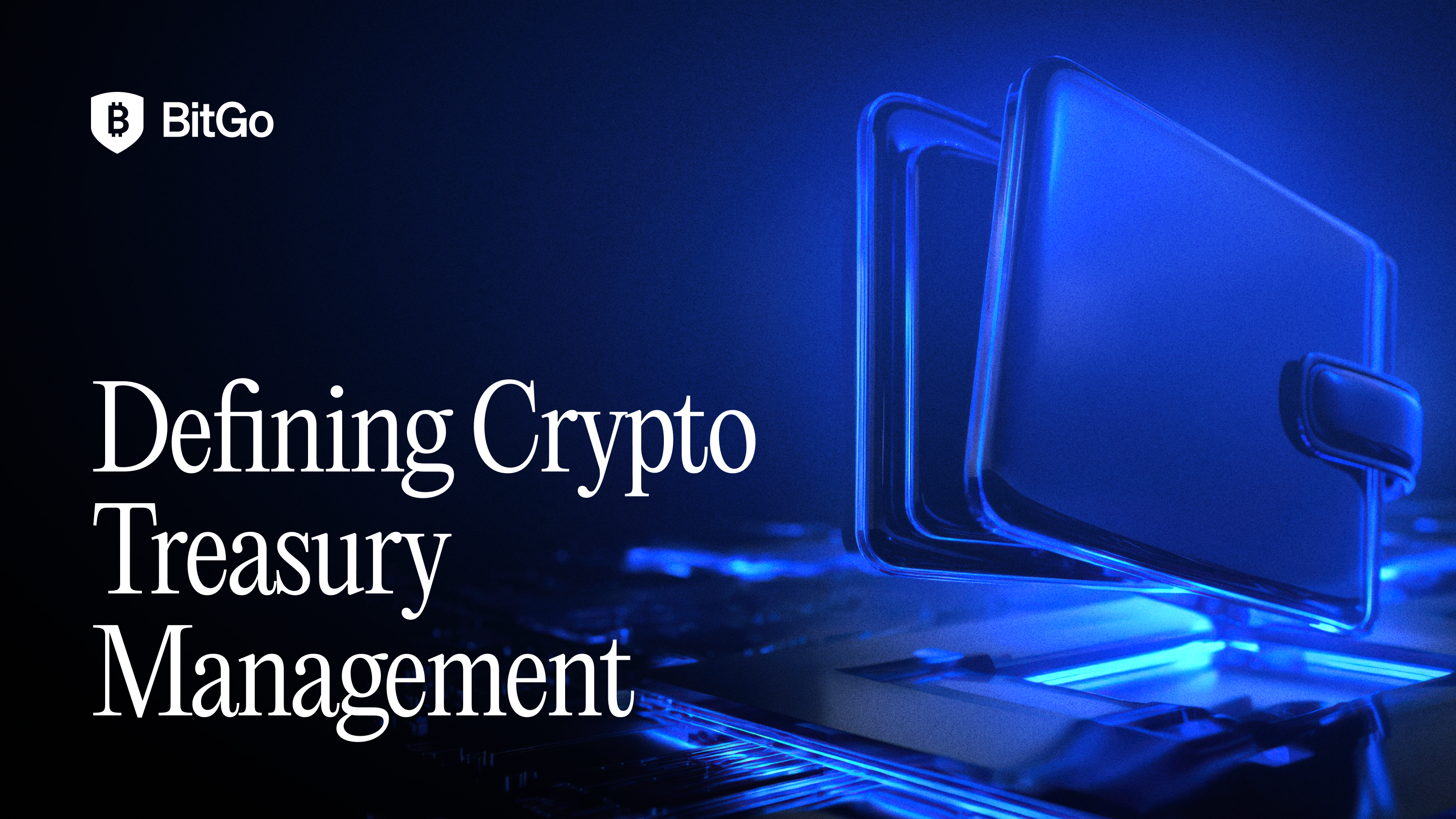 Crypto Treasury Management_ A CFOs Guide.png