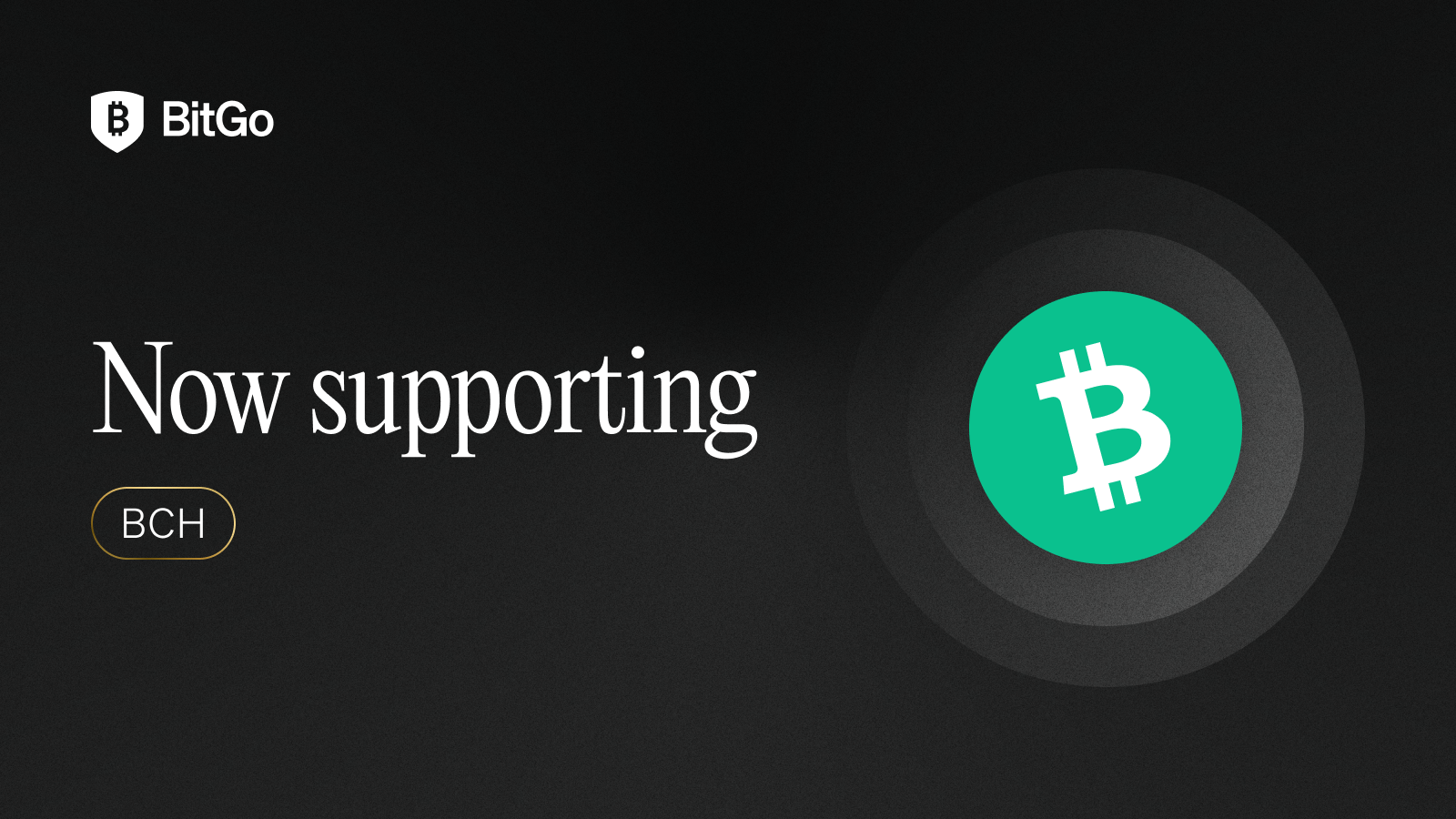 Now supporting_BCH.png