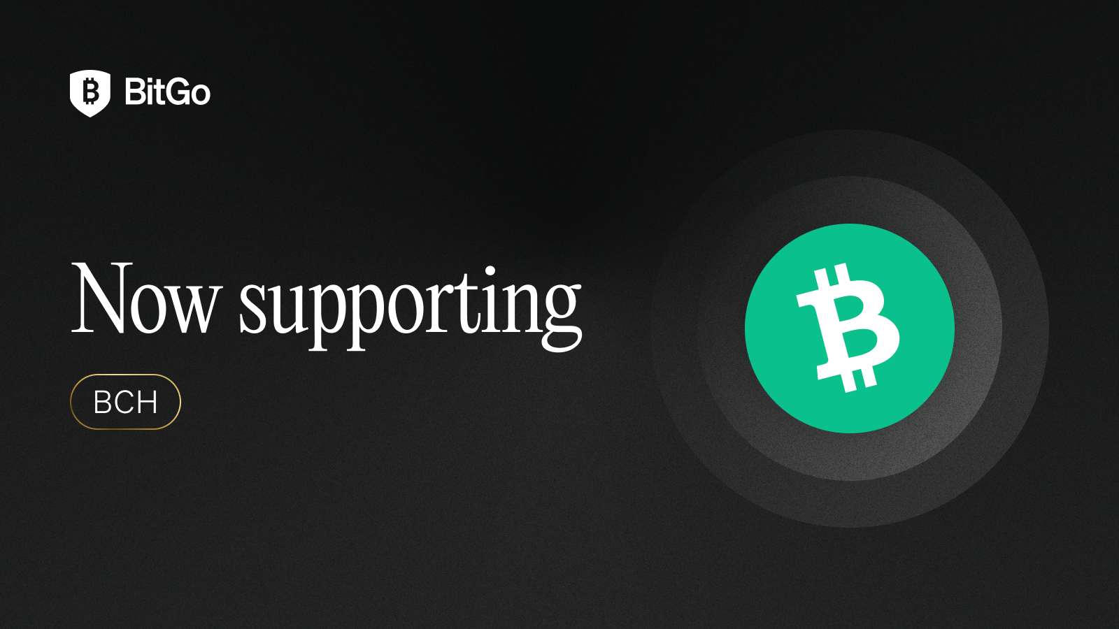 Now supporting_BCH.png