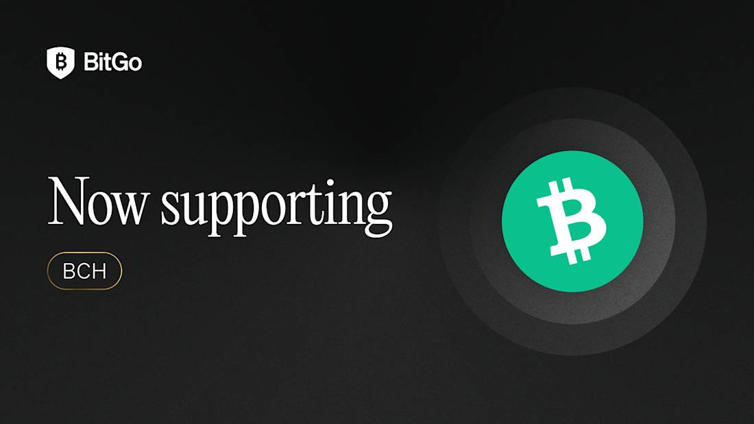 Now supporting_BCH.png