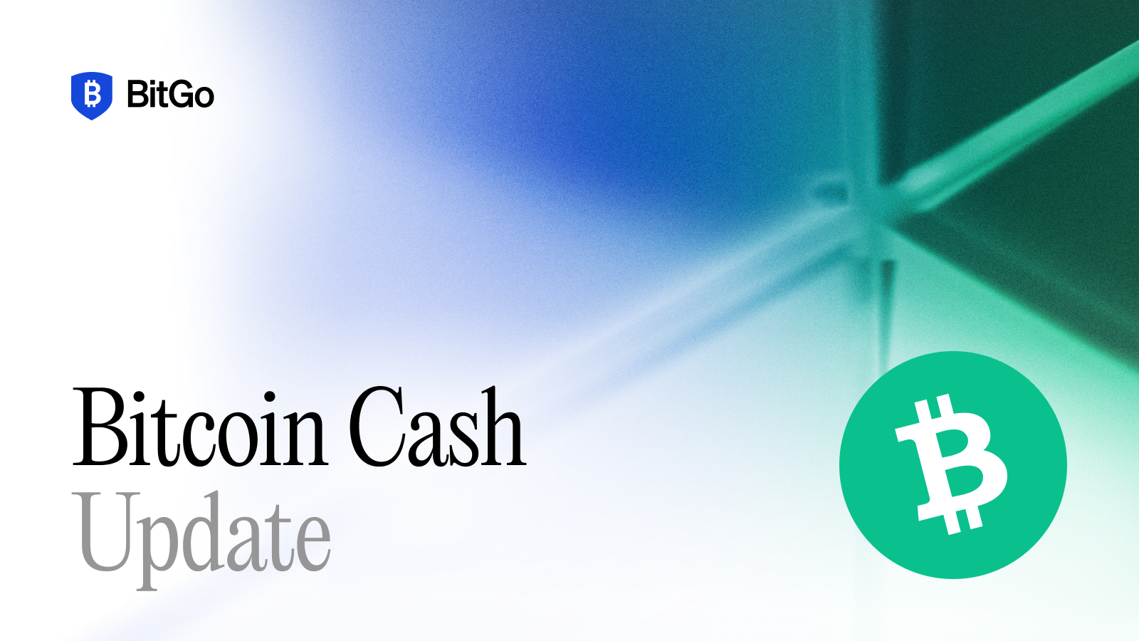 Bitcoin Cash (BCH) Update.png