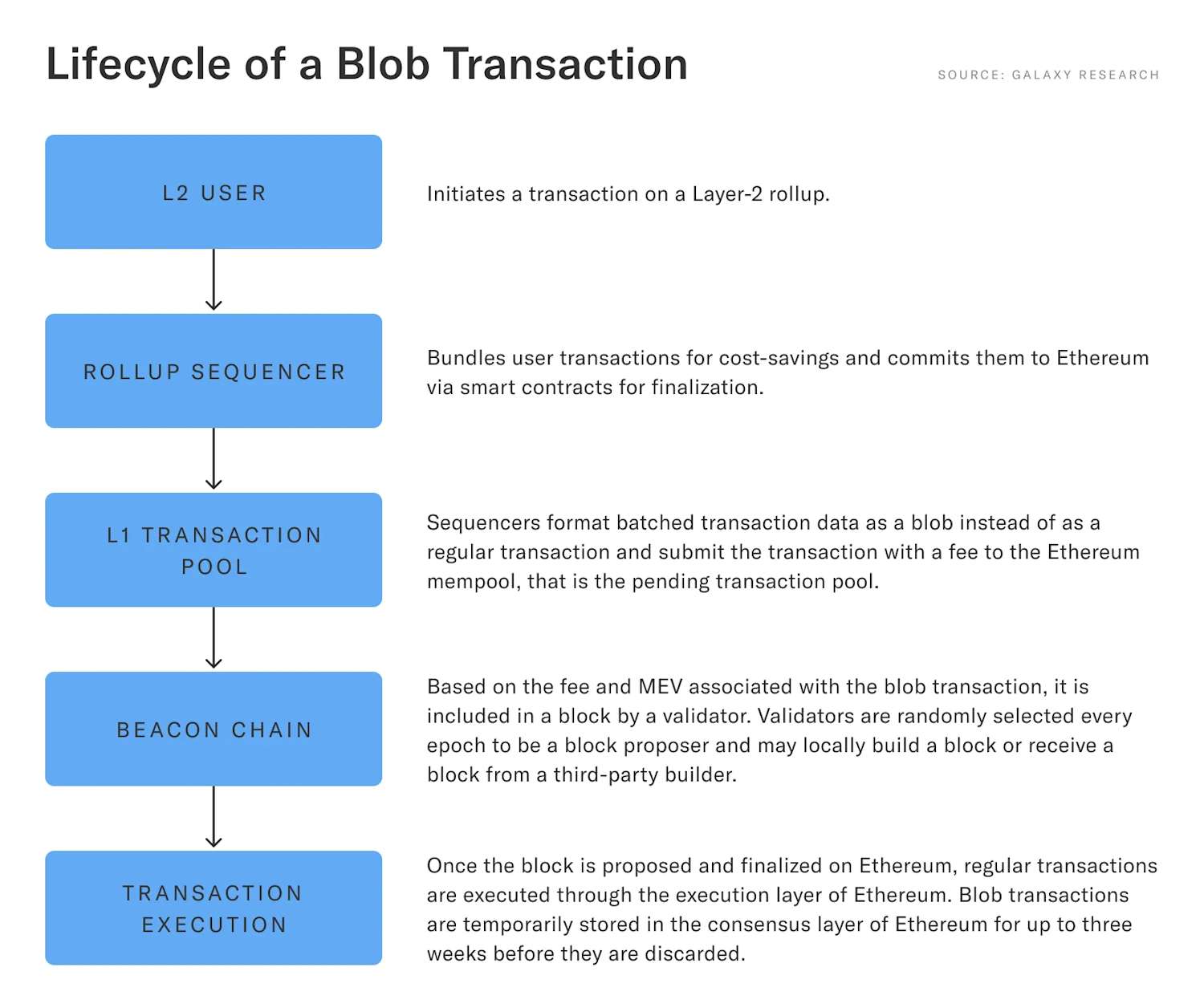 Lifecycle of a Blob Transaction