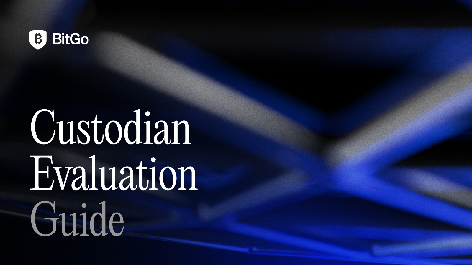 Custodian Evaluation Guide.png