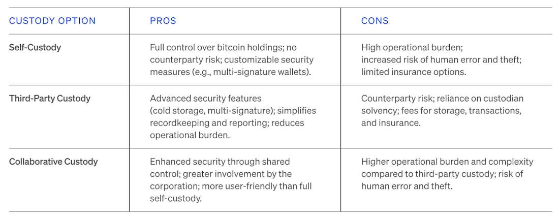 Bitcoin Treasury