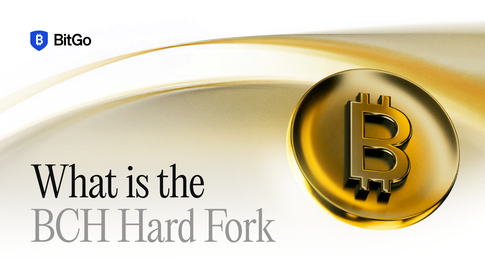 BitGo’s Approach and Prediction to the BCH Hard Fork (1).png