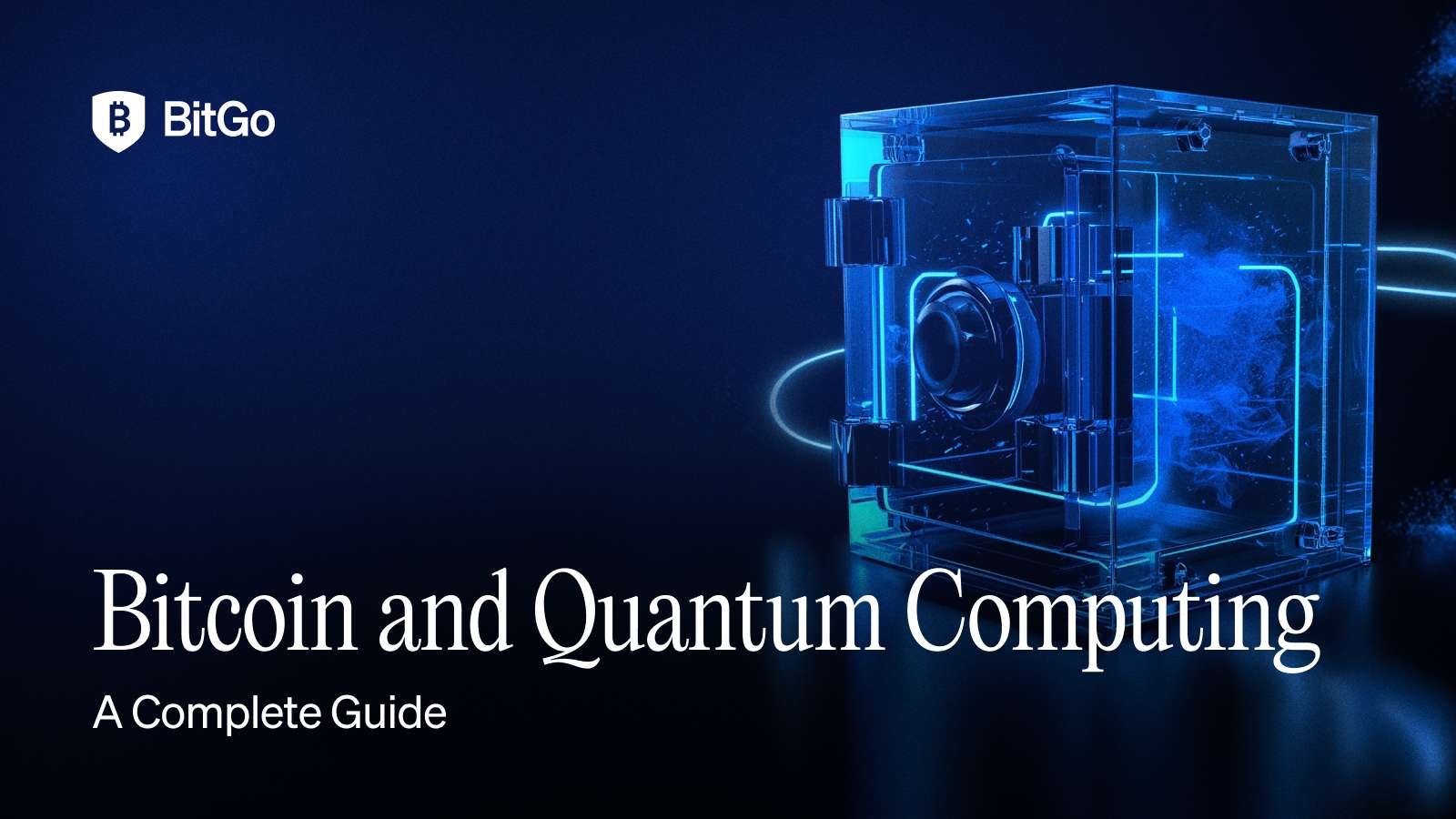 Source: provided-image (/Users/ronniederman/Downloads/Bitcoin and Quantum Computing A Complete Guide - 2.png)