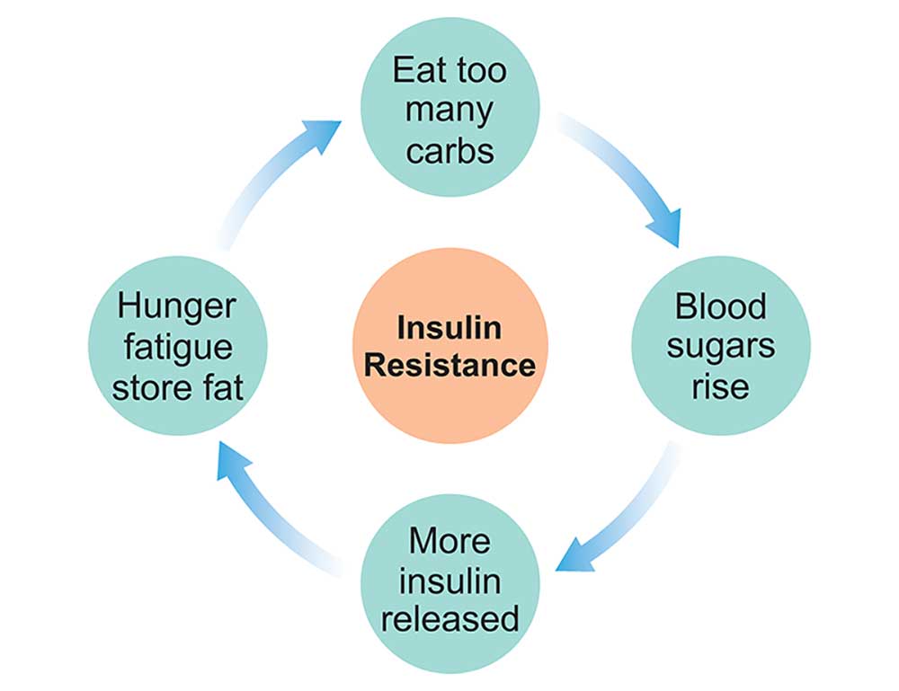 insulin-resistence