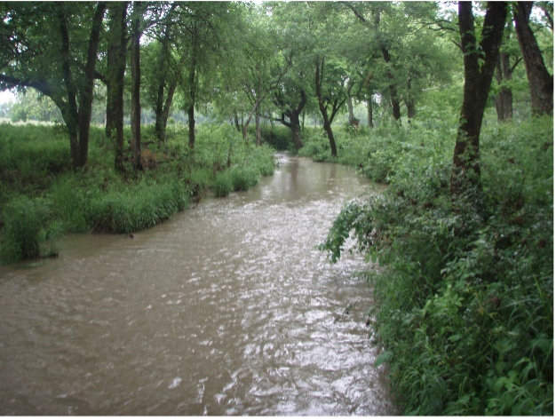 small river surrounded by greenery in upper texas