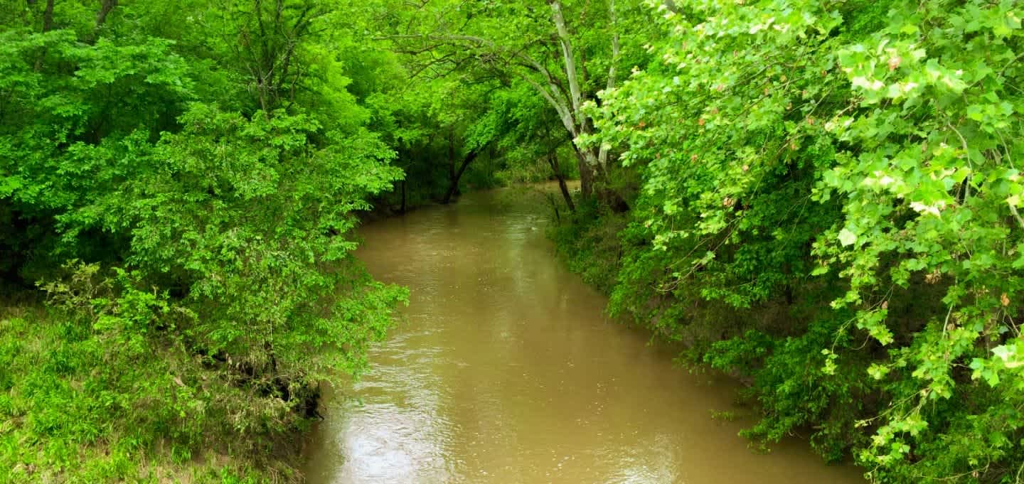 river flowing in north texas