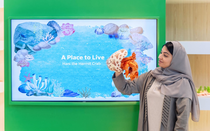 Hani the Hermit Crab 2