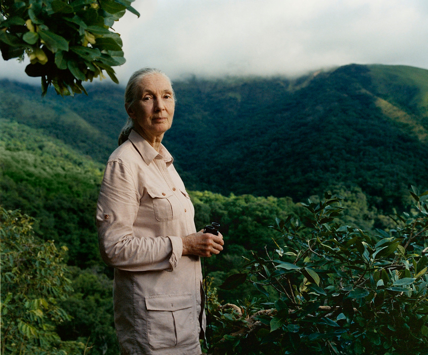 Jane Goodall