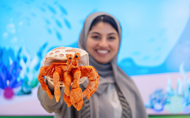 Hani the Hermit Crab 1