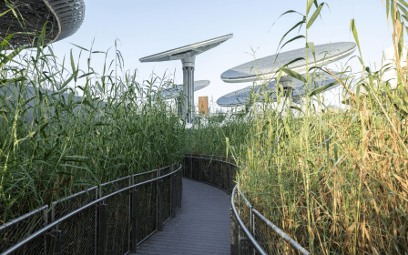 Terra external green walkway to solar trees