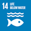 14- Life below water