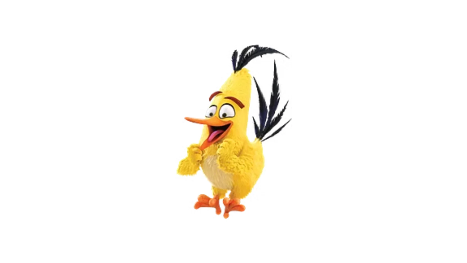 Angry Birds - Meet the Birds - Chuck