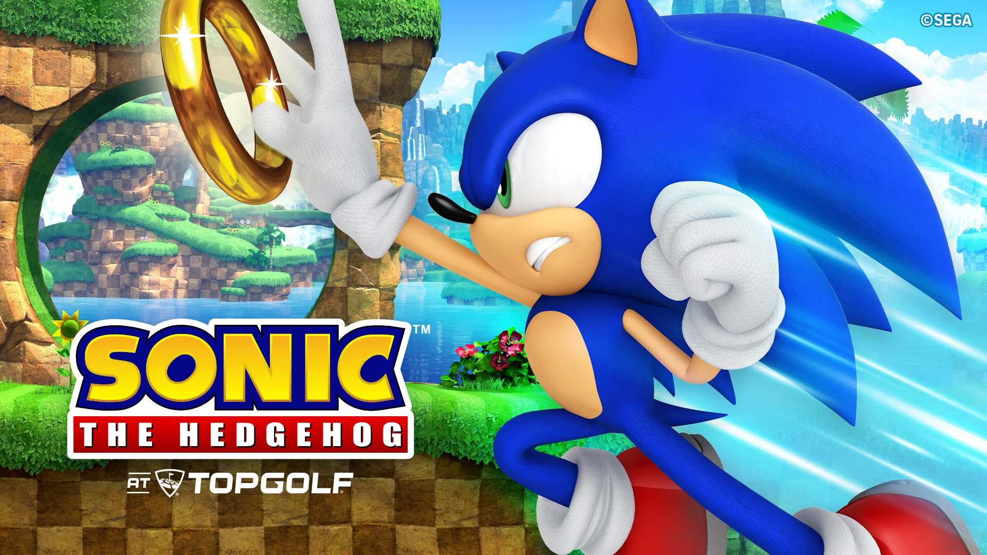 Sonic the Hedgehog