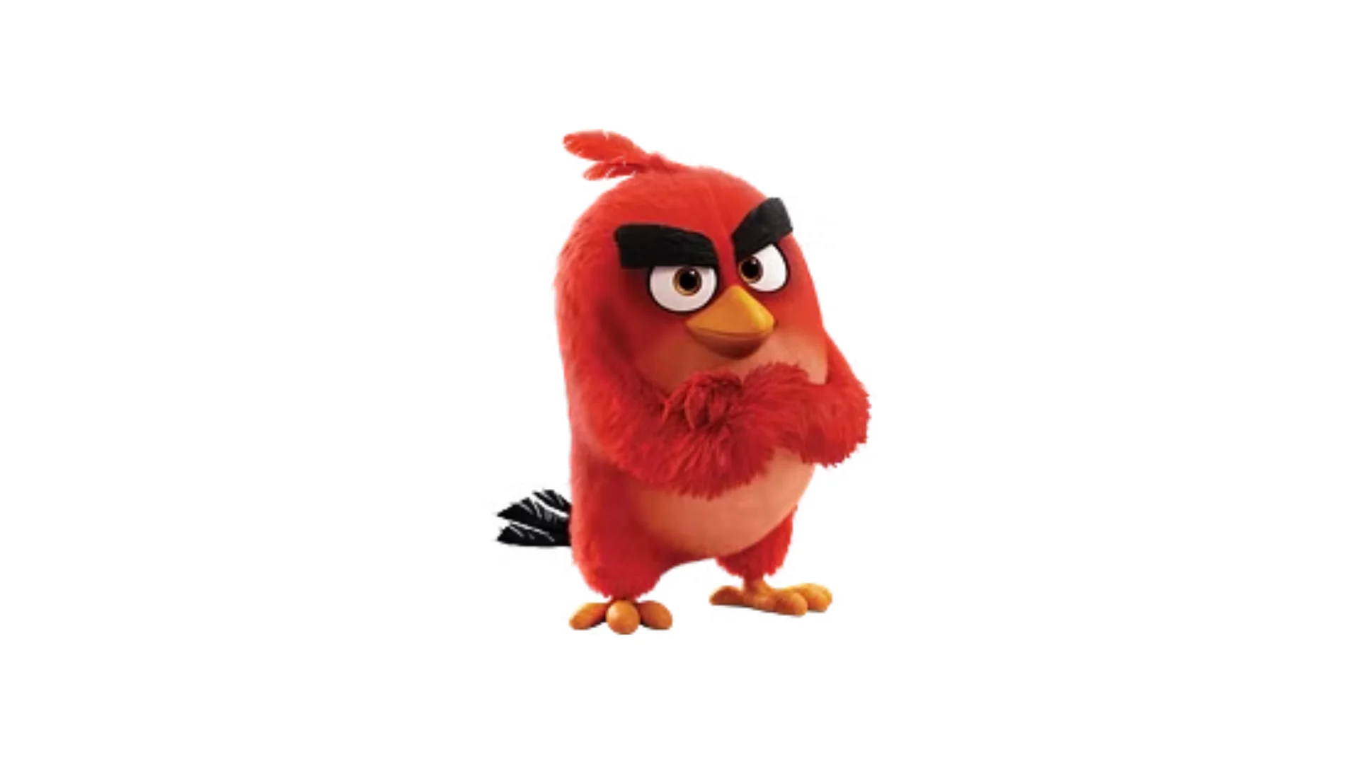 Angry Birds - Meet the Birds - Red