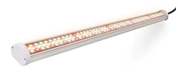 LED hyllevekstlys for forkultivering, urter og salat