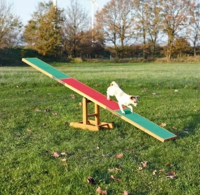 Agility Vippe for hund, 300 cm