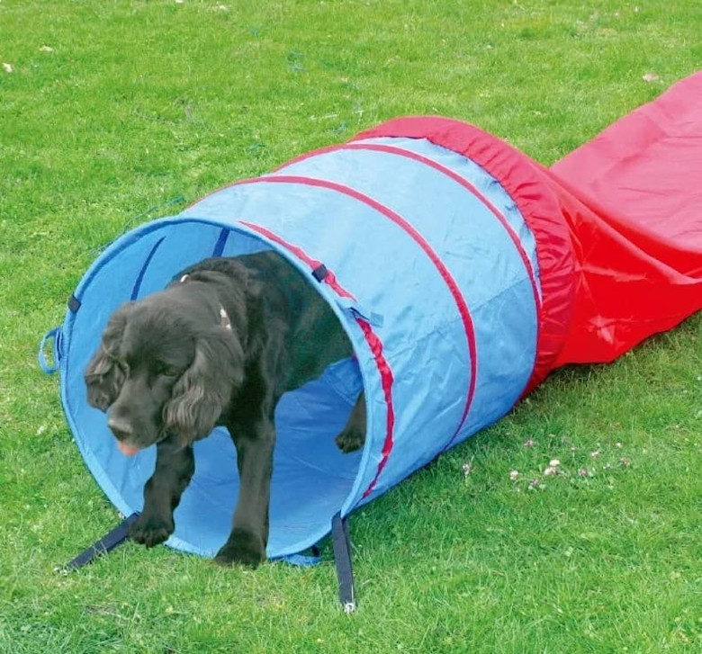 Pawise Agility Tunnel 5M
