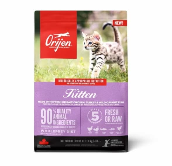 Orijen Kitten