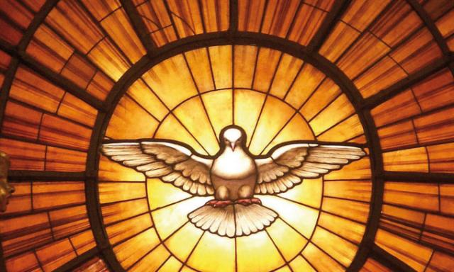 Neuvaine pour la Paix - jour 8 - Colombe de l'Esprit Saint - Vitrail