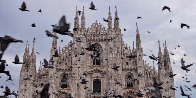 Milan-cathedrale-oiseaux-GIMP