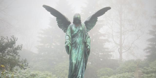 Angel-coupe-vert-brouillard-GIMP