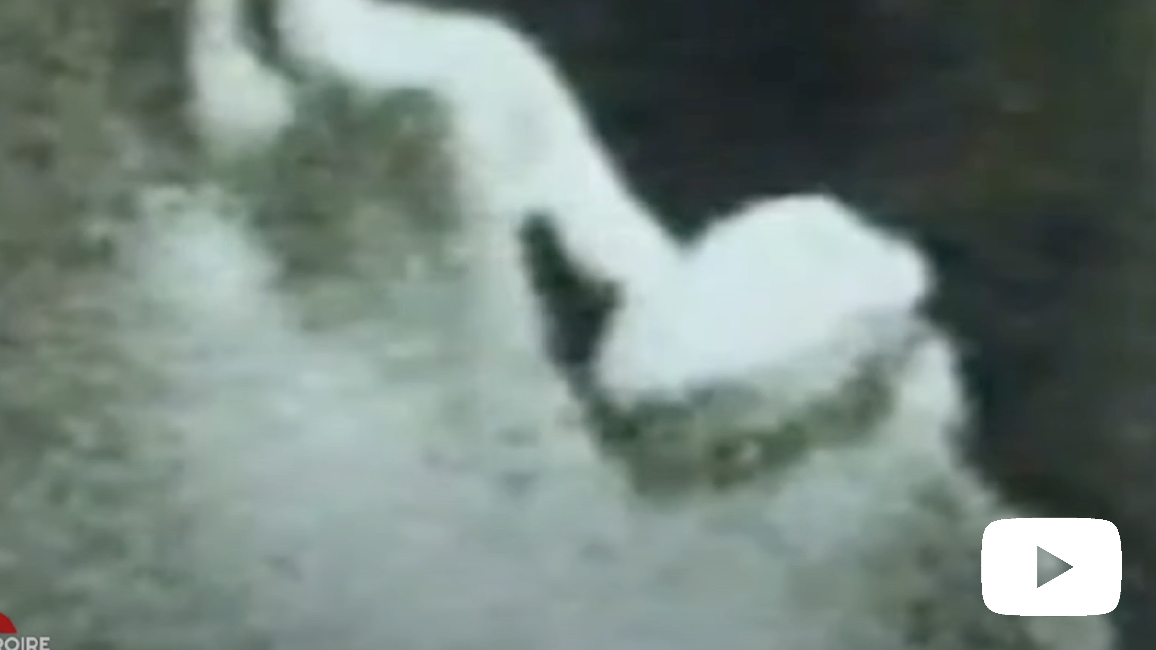 Découvrir Les Miracles Eucharistiques chez les Mystiques – L'Hostie lévite dans sa bouche !