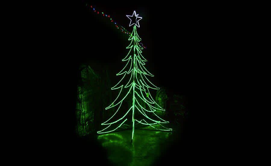 christmas-tree-christmasland-photos