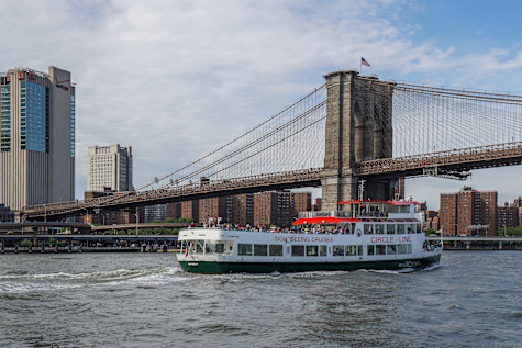 Brooklyn Bridge (Best of NYC + Landmarks)-2