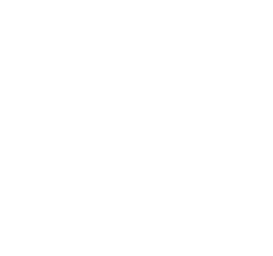 NYC - The Official Guide: 2017 Official Member