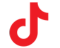 tiktok icon