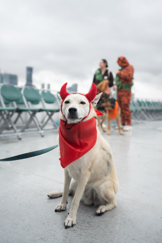 hudson river cruise bachelorette